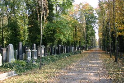 Neuer jüdischer Friedhof