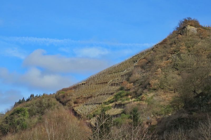 Zwischen Rech und Dernau