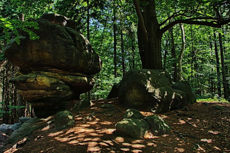 Am Fuß des Winterbergs