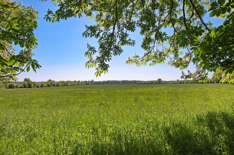Zwischen Venushügel und Bad Godesberg