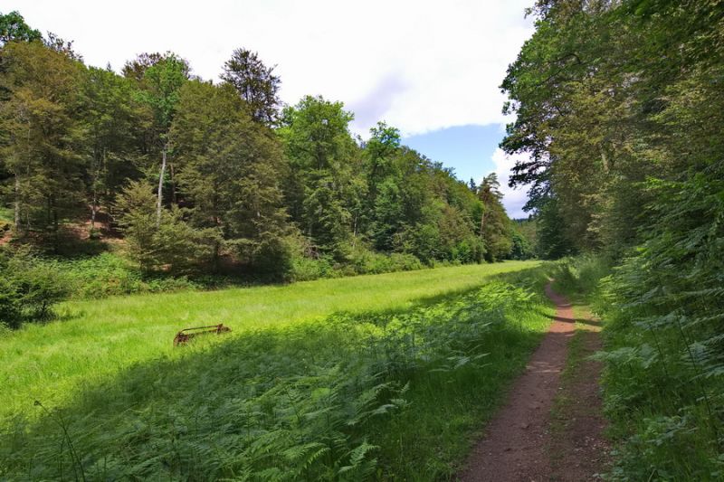 Altschlossfelsenpfad