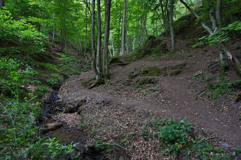 Aufstieg am Kabainer Bach