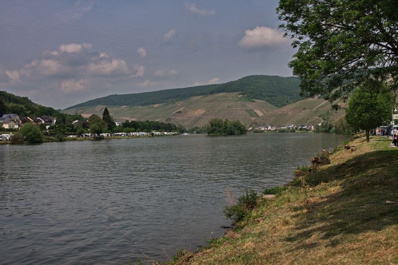 Mosel bei Zell